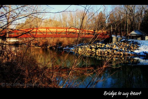 bridge water creek stream river golden framed leaves trees fall pennsylvania pa reflections nature natural landscape lehighvalley snow winter rocks branches forest woods jacobsburg park nazareth waterscape belfast twigs light shadows explore explored carolynlandi