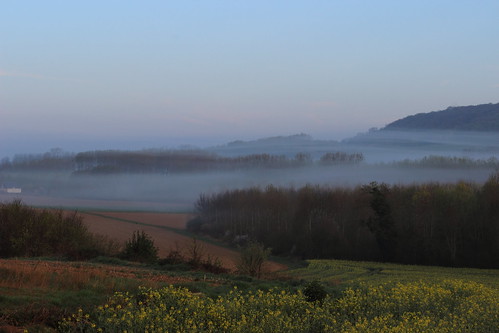 brume brouillard matin morning fog champs field paysage landscape fleur flower marestsurmatz france oise canon 600d 70300mm stephanexpose