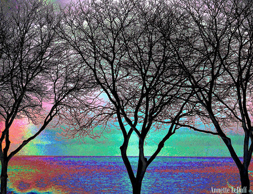 trees sunset lake color art water silhouette three horizon lakestclair favorited digitallyaltered neffpark grossepointemi photoannetteleduff annetteleduff leduffcameraart 02182012