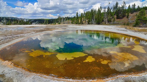 VIAJE COSTA OESTE EE.UU. - Blogs de USA - Yellowstone - Zona Sur (8)
