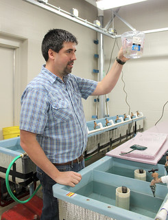 Picture of Dr. Luke Roy - Extension aquaculture specialist conducting research in the laboratory