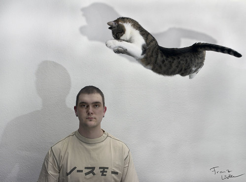 camera portrait animal cat photoshop canon photography eos flying photo fight jump creative super levitating levitate supercat 600d