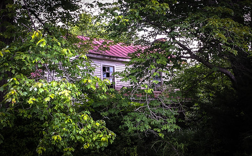 house abandoned forest virginia chatham bobbell pittsylvania