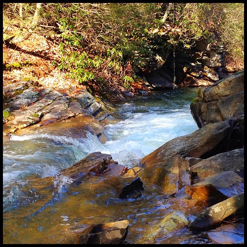 trees water creek river square rocks stream rope swing squareformat normal swimminghole ropeswing iphoneography instagramapp uploaded:by=instagram foursquare:venue=4f527eeae4b0195da3e4d167