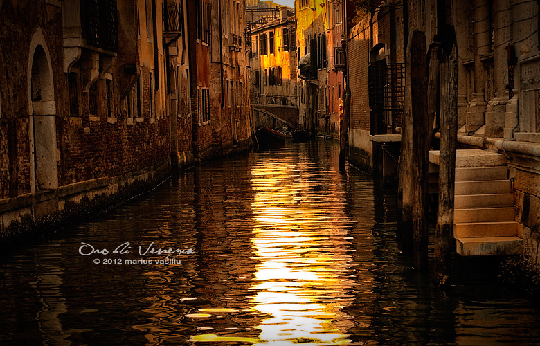 gold of venice