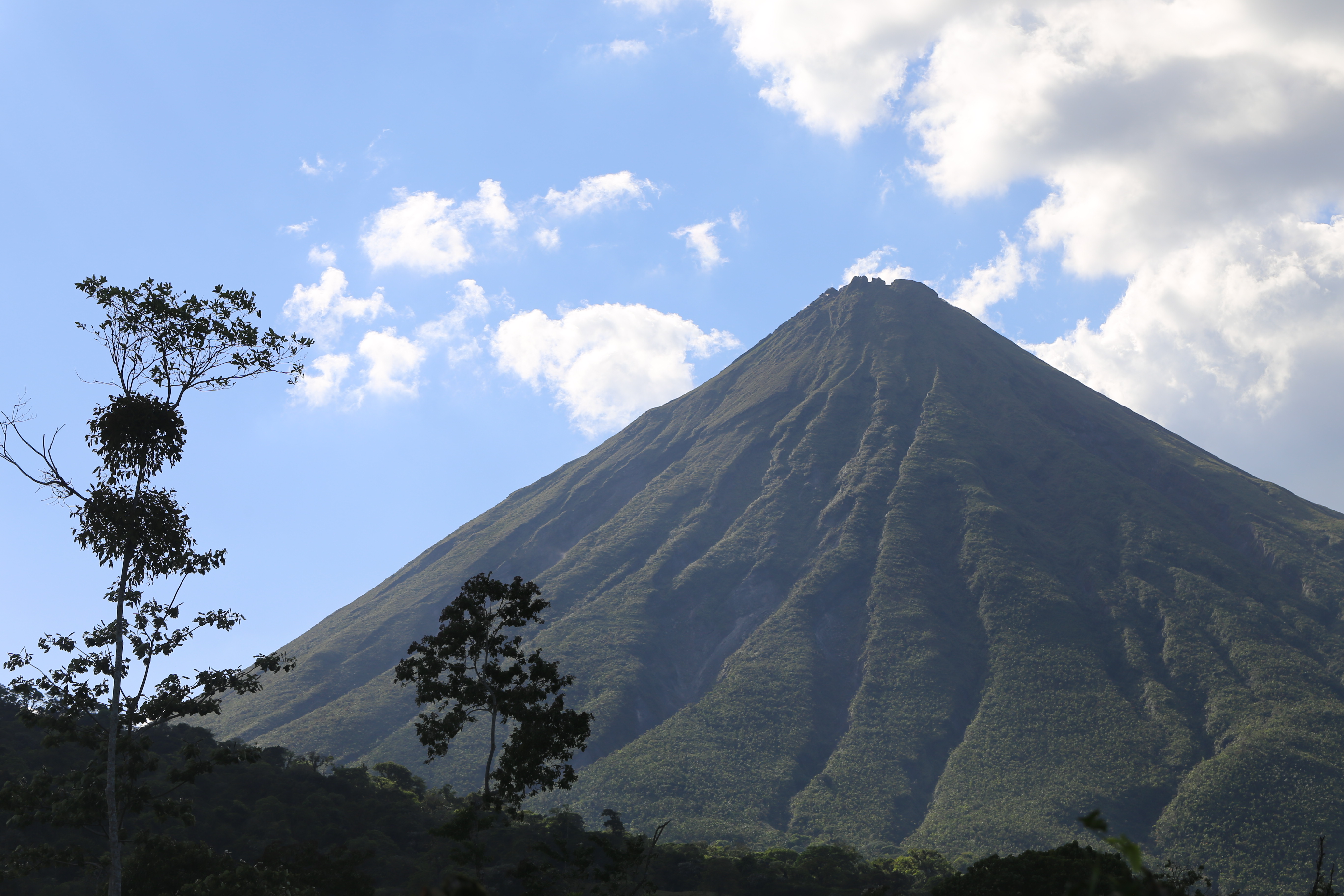 Elevation of Alajuela Province, La Fortuna, Costa Rica Topographic