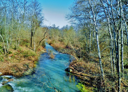 trees nature water river landscape europe village greece thessaly karditsa ελλαδα θεσσαλια καρδιτσα tamasio menelaida βησσαριου kalentzisriver zaimion vissariou