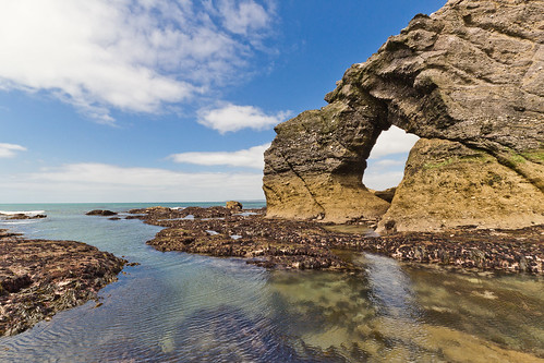 uk england seaweed rock coast arch wideangle explore doorway devon portal southhams thurlestonerock thirled