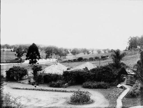 houses gardens bush shade queensland statelibraryofqueensland slq