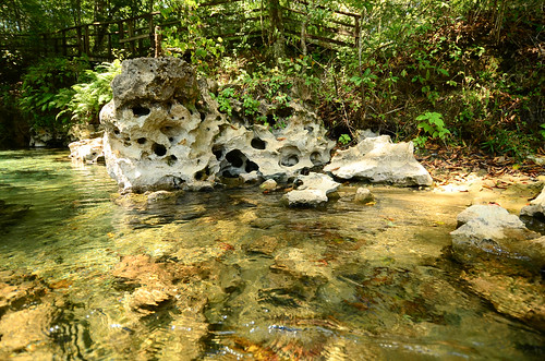 water spring florida clear springs gainer emeraldsprings gainersprings