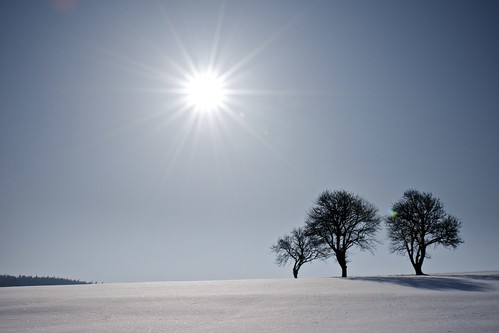 schnee winter snow cold austria nikon frost natur nikkor niederösterreich d300 birnbaum