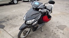 My Honda Click, Rented from Buddy Motorbike Rental, Chiang Mai