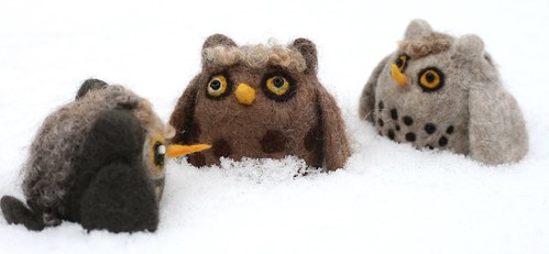 Owls in the Snow
