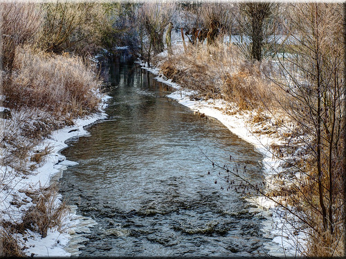 winter ice river fluss eis schwartau