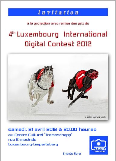 4-th Luxembourg International Digital Contest Public Showing and Awards Ceremony
