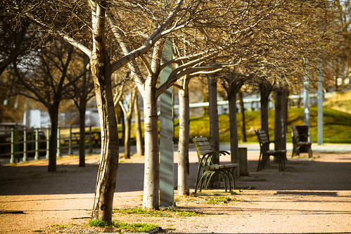 park trees canada nature bench spring quebec bokeh path montreal empty branches warmth peaceful outoffocus trail change oof griffintown explore152 canoneos7d canonef70200mmf28lisiiusm