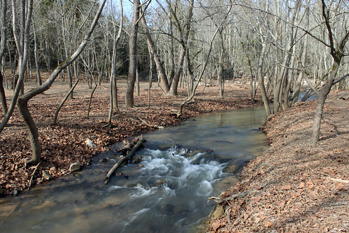 park creek waterfall woods stream state tennessee morristown panther