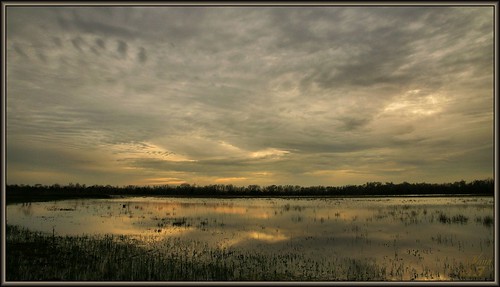 park sunset reflection water clouds pond texas houston highlights marsh flickrdiamond wanam3 elfrancoleepark