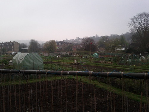 What does the red flag mean in the allotment?