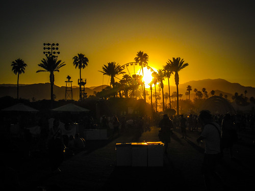 sunset festival palmtrees coachella