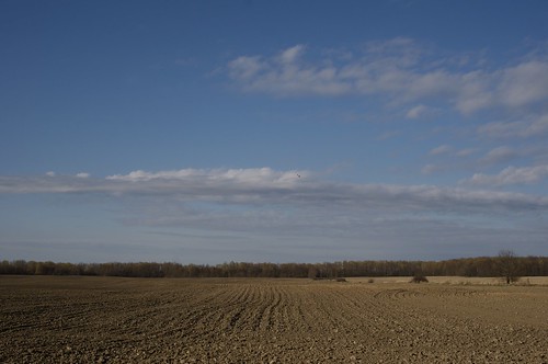 blue sky food brown ontario canada field weather photo spring day foto farm farming dry soil crop drought land april environment crops tilled plowed wideopenspace prepared brucecounty pwpartlycloudy