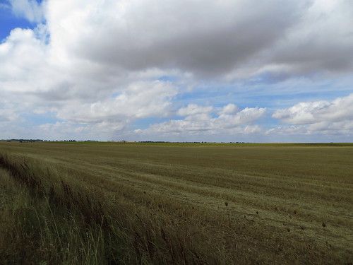 jakobsweg spanien caminofrances