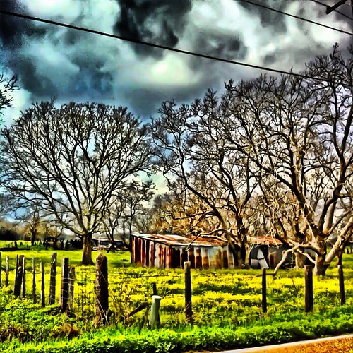 sky apple clouds barn fence square mac rusty squareformat sherry wildflowers normal 2012 4g fencepost iphone sideoftheroad iphoneography instagramapp uploaded:by=instagram goodthursday~~~ foursquare:venue=4de95b1a45dde4a28d67fb07 ithinkspringishereyay