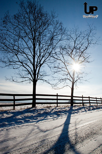 road sky snow tree sunrise country