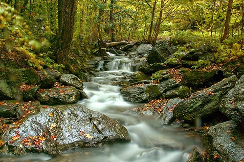 autumn trees mountain water leaves rocks colorful stream vermont newengland brook vt mtmansfield mountainbrook greenmountains smugglersnotch
