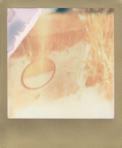 film polaroid sx70 sticker analogue roid goldframe project366 impossibleproject analoguesunrise