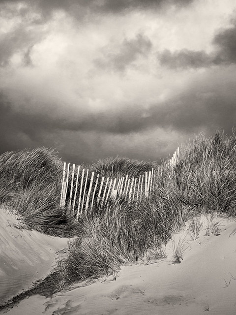 Fence in the dunes