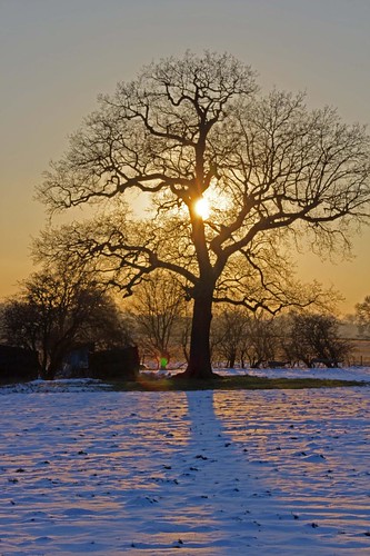 sunset snow colour reflection tree penshurst chiddingstone