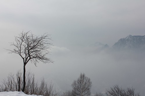 winter italy snow tree fog clouds europa europe italia nuvole mani neve monte manuela nebbia albero inverno due lecco emanuela nubi bivacco coltignone natureandnothingelse