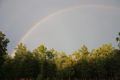 nature landscape rainbow doublerainbow