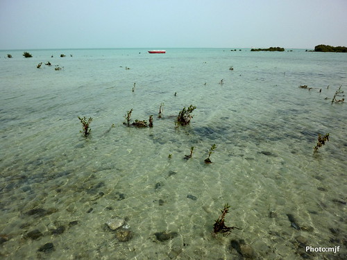 blue red sea boat line mangrove qatar alruwais