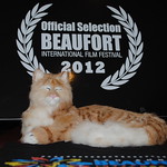 SG Beaufort International Film Festival