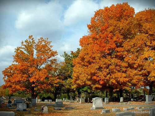 autumn orange fall cemetery grave graveyard yellow tennessee fallcolors headstone tombstone smyrna mapleview rutherfordcounty mapleviewcemetery