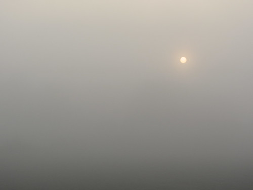 morning sun fog empty foggy dot gloom disc murky cambridgeshire weak indistinct murk cambs shelford cammbridge