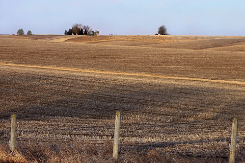 cornfield bluesky rollinghills goldenhour fenceposts