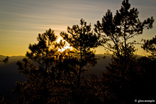 trees mountain yellow sunrise horizon sagada silhoutte canon18135
