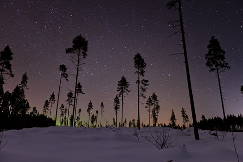 trees light sky snow night canon suomi finland stars lights mark ii pollution aurora 5d northern starry f28 1635mm