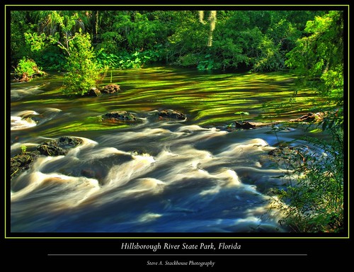 nature water river landscape hdr hillsbouroughriverstatepark floridastatelparks