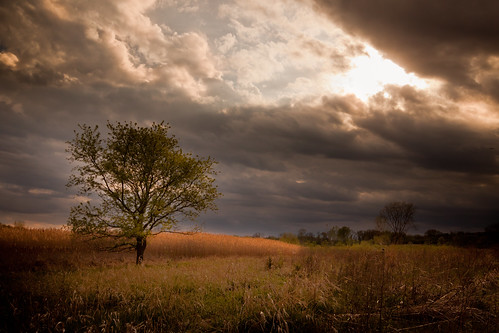 nature clouds canon illinois day cloudy dramatic stormclouds 500d rodde dupagecounty t1i kevinrodde kevinroddephoto kevinroddephotography
