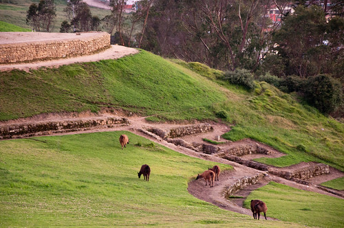 travel light sunset inca landscape countryside ecuador ancient nikon ruins dusk hills nikkor archeology ingapirca incanruins alpacas incan d90 cañar nikond90 18105mmf3556gedafsvrdx
