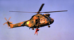 SAAF SA330L Puma 175