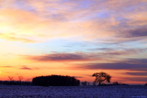 winter sun picnik 2012 flickryes2012