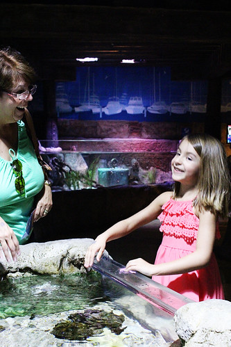 Sea Life Aquarium