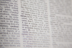Dictionary - career
