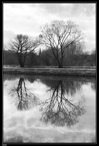 trees reflection texture church water canal blackwhite eau belgium belgique noiretblanc reflet arbres église vlaamsbrabant lembeek