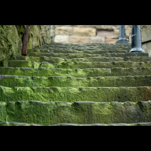 Green Steps